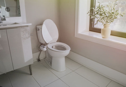 Best Affordable Bidets for Modern Bathrooms in 2026